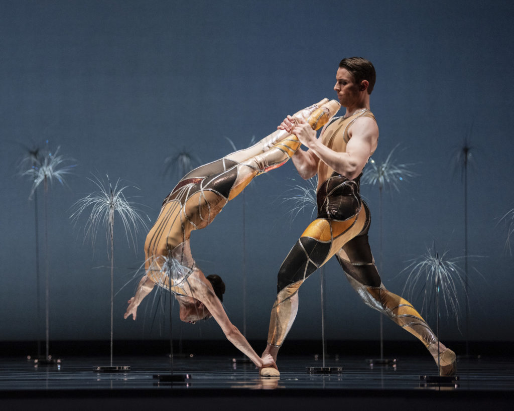 San Francisco Ballet Streams Cutting Edge Work Tonight Paul Duclos